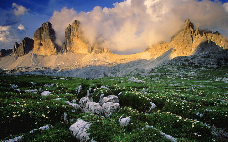 dolomites italy garden of yellow flowers wallpaper preview